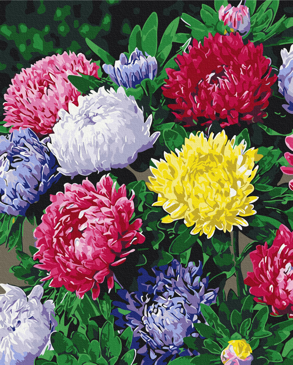 Картина за номерами Brushme Різнобарвні айстри 40х50 см BS54120 - фото 1 - id-p2331102985