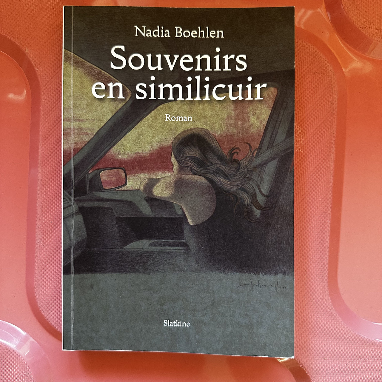 Souvenirs en similicuir Nadia Boehlen (роман французькою)