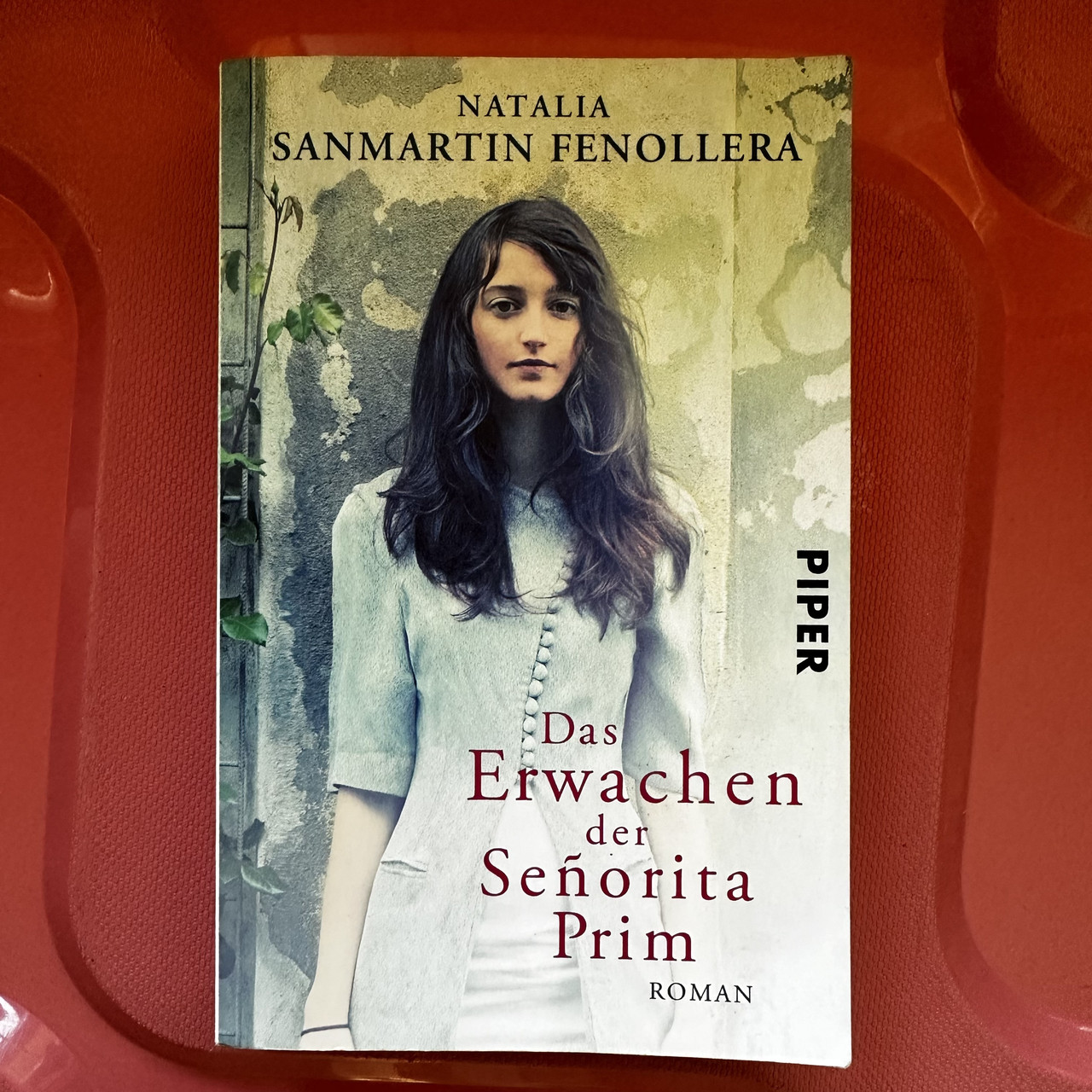 Natalia Sanmartin Fenollera Das Erwachen der Senorita Prim (роман німецькою)