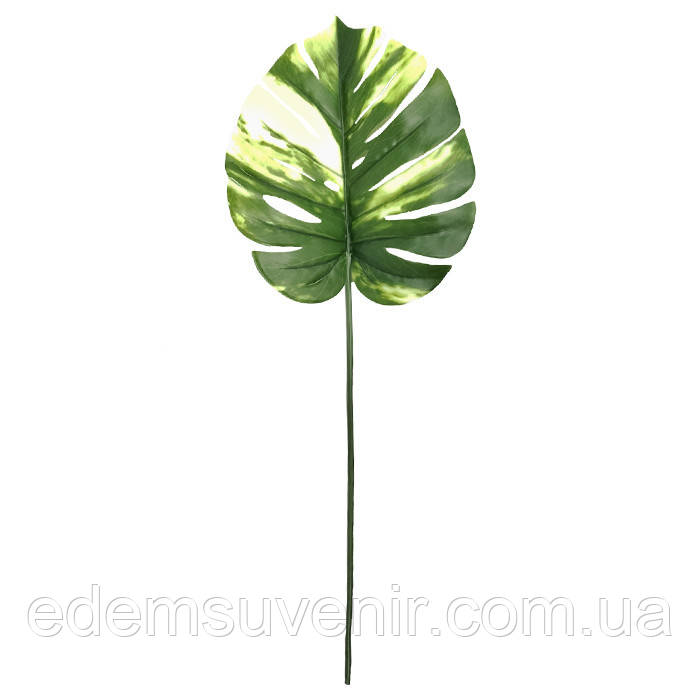 Штучне листя Engard Monstera Alba, 71 см (TW-53)