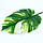 Штучне листя Engard Monstera Alba, 71 см (TW-53), фото 3
