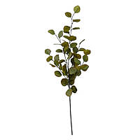 Штучна гілка Engard Eucalyptus, 90 см (TW-16)