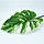 Штучне листя Engard Monstera Alba, 73 см (TW-54), фото 3