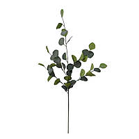 Штучна гілка Engard Eucalyptus, 90 см (TW-17)