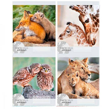 Зошит 12 л. = Поліграфіст 964 Тварини 2 639670 G-Rich