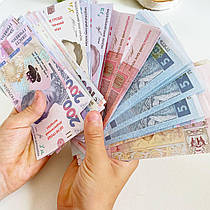 Навчальний дидактичний матеріал: Грошові знаки