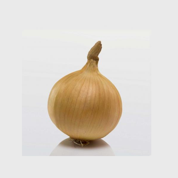 Цибуля сівок Радар Ф1 Broer B.V. 1кг