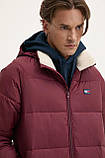 AllOriginal com ua Куртка Tommy Jeans чоловіча колір бордовий зимова DM0DM20003 РОЗМІРИ ЗАПИТУЙТЕ, фото 5