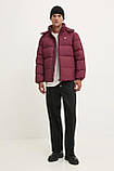AllOriginal com ua Пухова куртка Tommy Jeans чоловіча колір бордовий зимова oversize DM0DM19786 РОЗМІРИ, фото 3