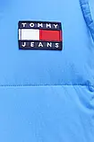 AllOriginal com ua Куртка Tommy Jeans чоловіча зимова РОЗМІРИ ЗАПИТУЙТЕ, фото 6
