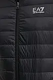 AllOriginal com ua Пухова куртка EA7 Emporio Armani чоловіча колір чорний перехідна PNGPZ.8NPB23 РОЗМІРИ, фото 6