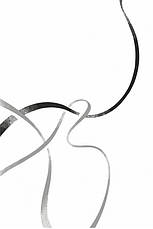 Книга «Дует наш темний». Автор - Вікторія Шваб, фото 4