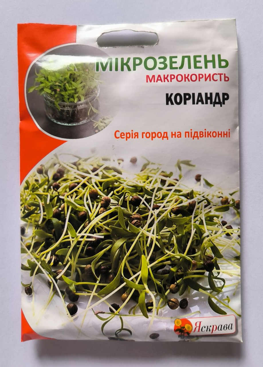 Насіння мікрозелені Коріандру 30 г, Яскрава