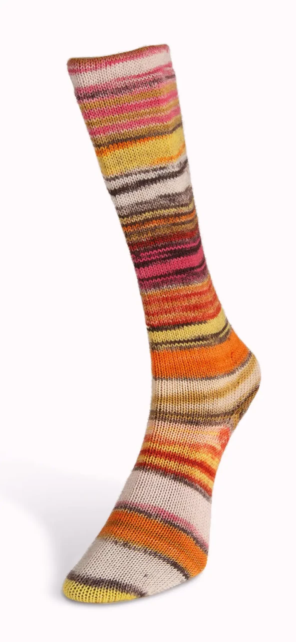 Шкарпеткова пряжа Eclectic Sock/Еклектік Сок, мультіколор 05