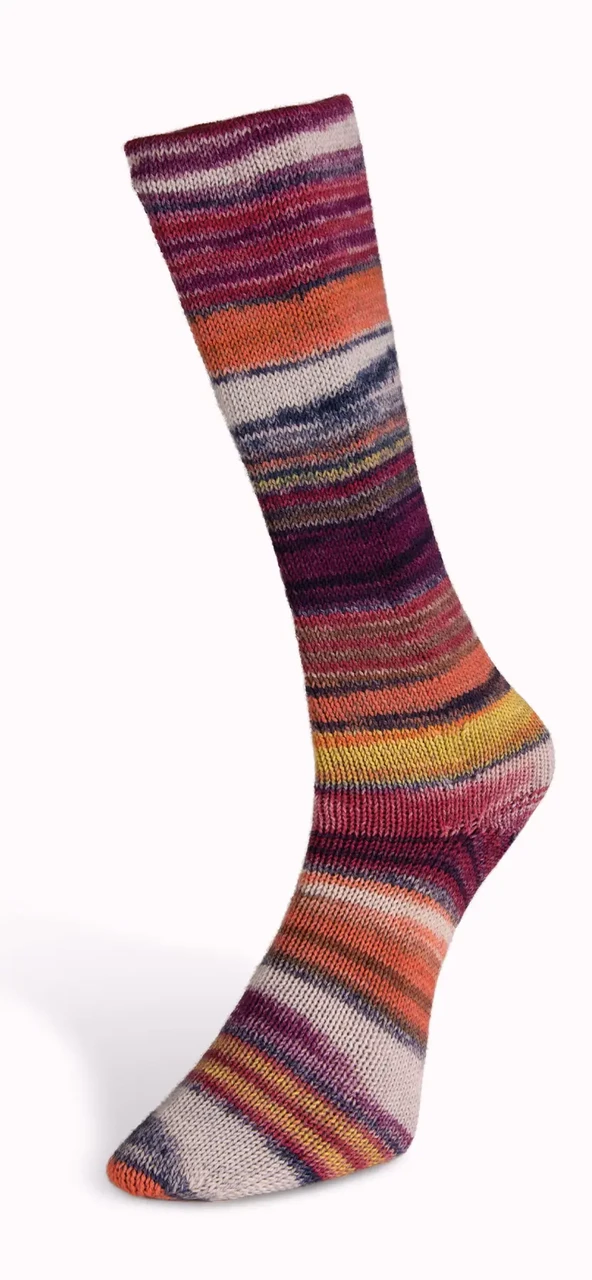 Шкарпеткова пряжа Eclectic Sock/Еклектік Сок, мультіколор 04