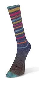 Шкарпеткова пряжа Infinity Sock/Інфініті Сок, фіолетово-коричневий зі смугами 10