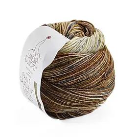 Шкарпеткова пряжа Paint Gradient Sock/Пейнт Градієнт Сок, коричнево-бежевий мультіколор 14