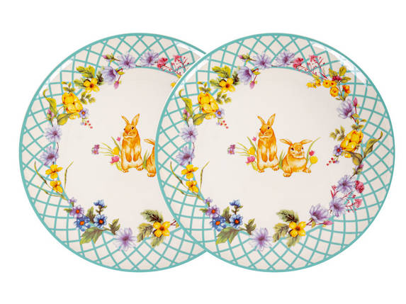 Набір фарфорових тарілок з 2-х штук Funny Bunny 21 см 1985-180 VE, фото 1