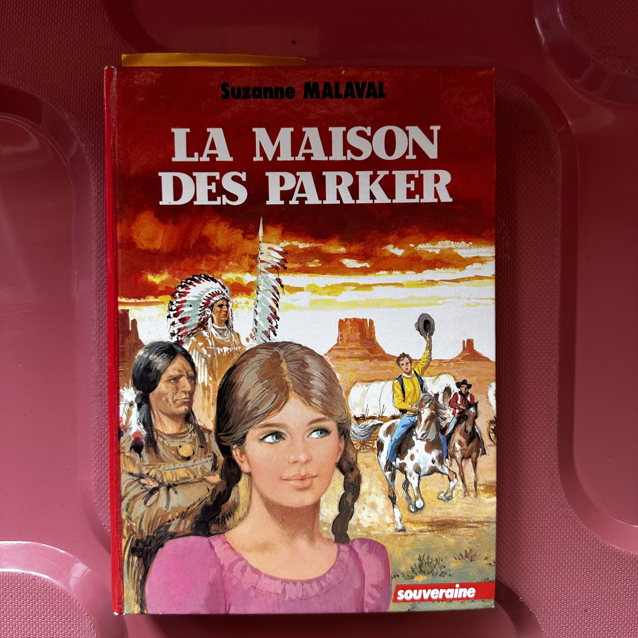 Suzanne Malaval La maison des parker (книга французькою)