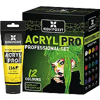 Фарба акрилова для малювання PROFESSIONAL SET 12*75 мл ACRYL PRO ART Kompozit