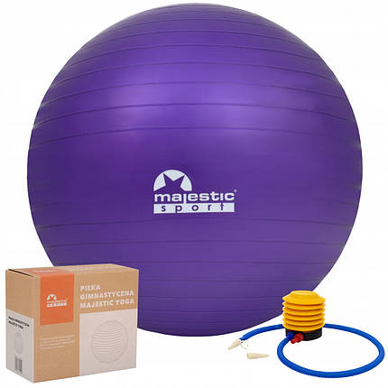 М'яч для фітнесу (фітбол) Majestic Sport 65 см Anti-Burst GVP5028/V Poland, фото 1