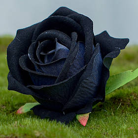 Чорний колір