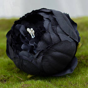 Головки кольорів чорного кольору