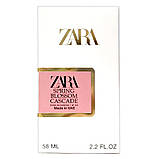 Zara №04 Spring Blossom Cascade Perfume Newly жіночий 58 мл, фото 5