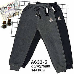 Спортивні штани з утеплювачем для хлопчика Розміри: 6,7,8,9 років (16175-1)