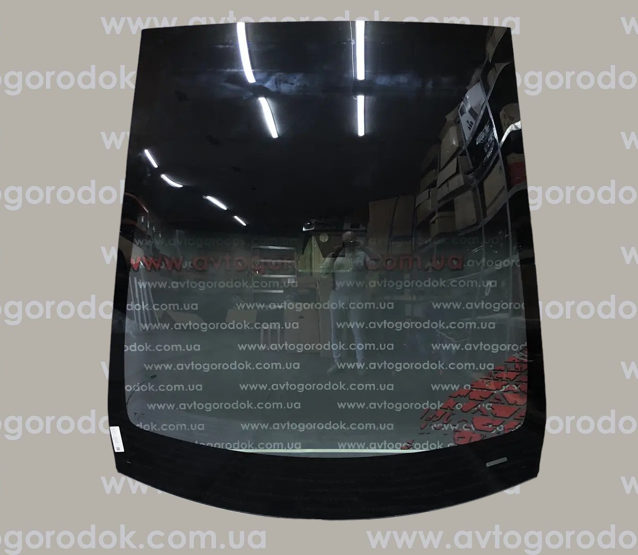 Скло лобове АП1 Tesla Model X