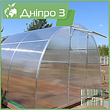 Теплиця "Дніпро-3" 3х4 м / профільна труба 20Х20 мм / стільниковий полікарбонат 4 мм Standard, фото 4