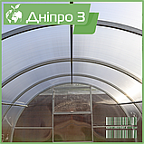 Теплиця "Дніпро-3" 3х10 м / профільна труба 20Х40 мм / стільниковий полікарбонат 10 мм PREMIUM, фото 5