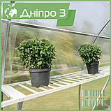 Теплиця "Дніпро-3" 3х6 м / профільна труба 20Х40 мм / стільниковий полікарбонат 8 мм Standard, фото 9