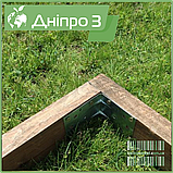 Теплиця "Дніпро-3" 3х8 м / профільна труба 20Х40 мм / стільниковий полікарбонат 4 мм Standard, фото 10