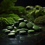 ХЛОРЕЛА 250 Г / 1000 таблеток - ВОДОРОСТІ / BIOSWENA, фото 3