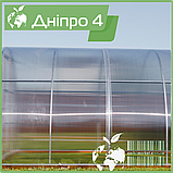Теплиця "Дніпро-4" 4х20 м / профільна труба 20Х40 мм / стільниковий полікарбонат 10 мм PREMIUM, фото 6
