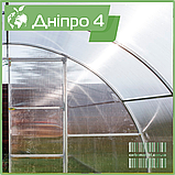 Теплиця "Дніпро-4" 4х8 м / профільна труба 20Х40 мм / стільниковий полікарбонат 10 мм Standard, фото 3