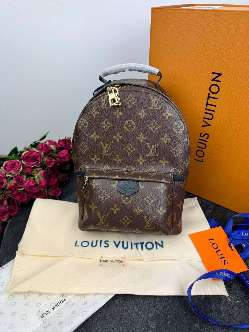 Louis Vuitton Palm Springs Brown/Black, фото 1