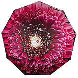 Жіноча парасолька напівавтомат із принтом квітки від Toprain на 9 спиць рожева ручка 0703-3, фото 3