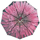 Жіноча парасолька напівавтомат із принтом квітки від Toprain на 9 спиць рожева ручка 0703-3, фото 4