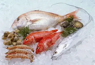 Морепродукти