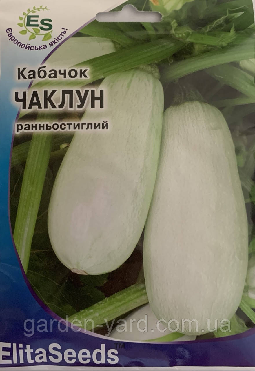 Насіння кабачок Чаклун  20г. ElitaSeeds