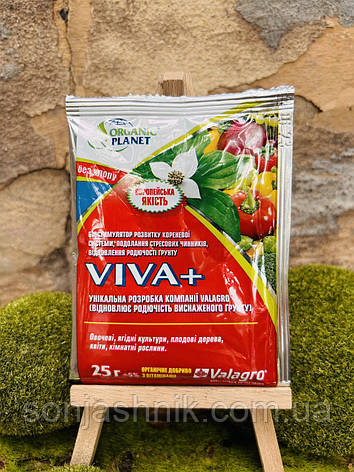 Viva (Віва), Органічне добриво, Біостимулятор, 25мл, Valagro, фото 1