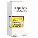 Ecentric Molecule Molecule 01 + Ginger Perfume Newly унісекс 58 мл, фото 4