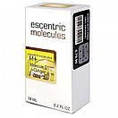 Ecentric Molecule Molecule 01 + Ginger Perfume Newly унісекс 58 мл, фото 6