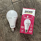 Аварійна акумуляторна лампа Lucem PRO 12Вт Е27 6500K для освітлення при відключенні світла, фото 7
