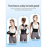 Корсет для вирівнювання постави та розвантаження хребта, фото 5