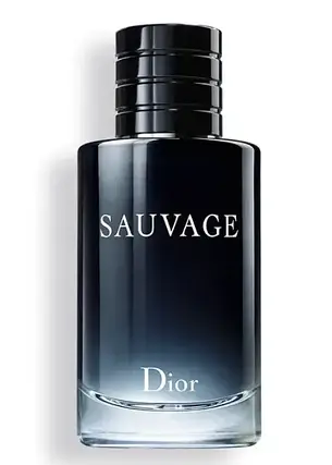 Парфуми чоловічі Dior Savage 2015 EDT 100 ml, фото 2