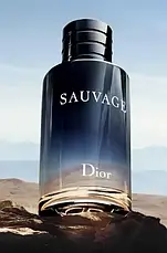Парфуми чоловічі Dior Savage 2015 EDT 100 ml, фото 4