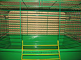 Клітка для кролика та свинки, фото 2